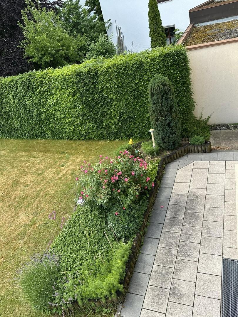 Blick vom Haus ins Grüne