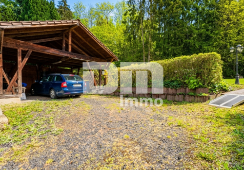 Doppelcarport / Parkflächen + Zugang zum Bungalow