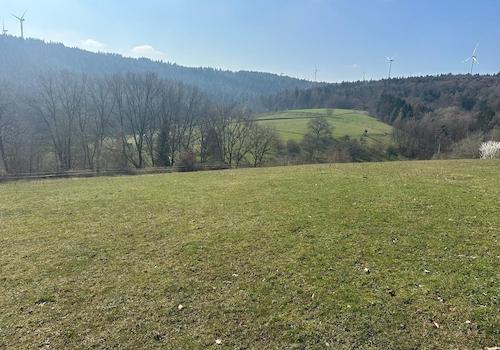 Weitblick