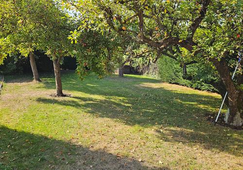 Obstgarten