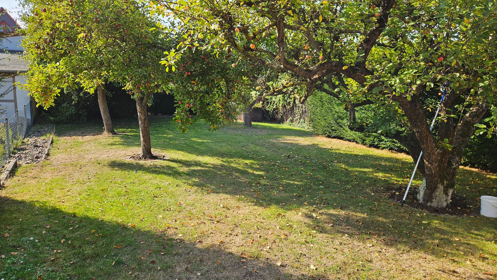 Obstgarten