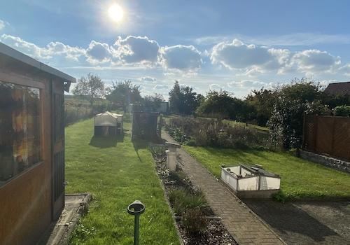 Blick in den Garten