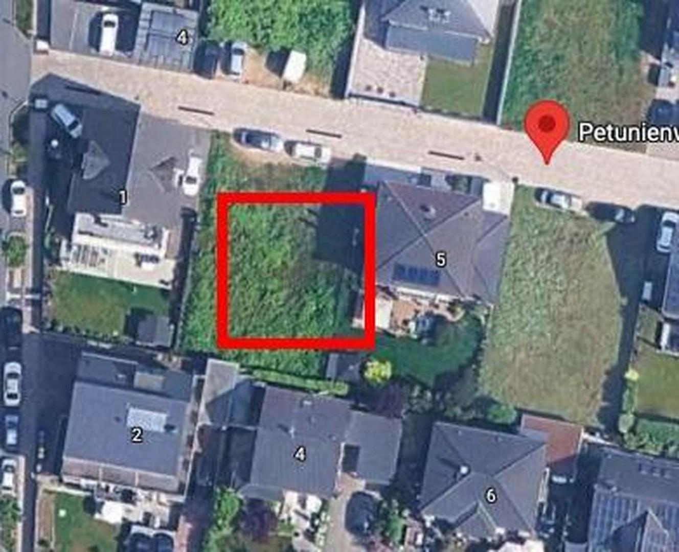 Petunienweg von oben