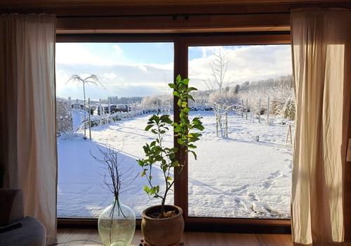 Ausblick Winter