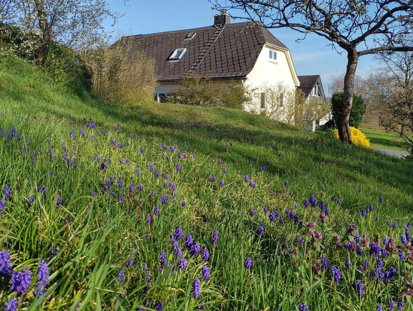 Gartenansicht im Frühling