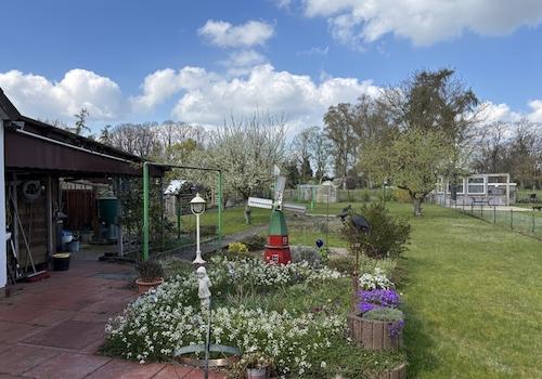 Blick in den Garten