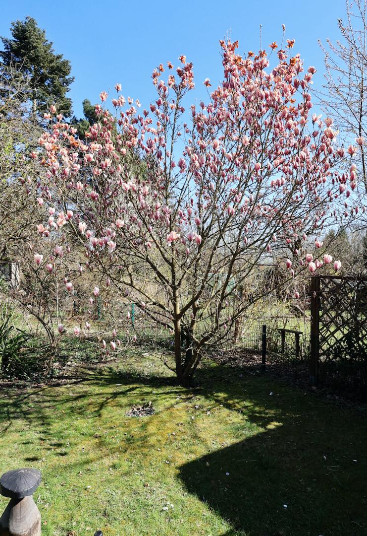 Frühlingsimpressionen