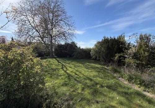 der Garten