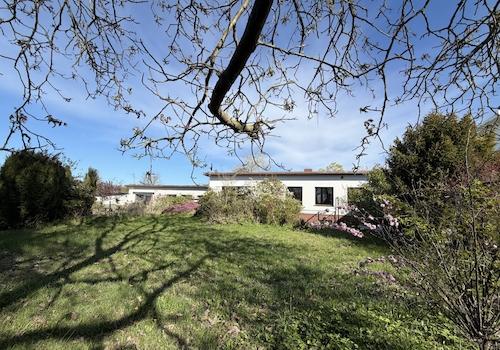 Blick aus dem Garten