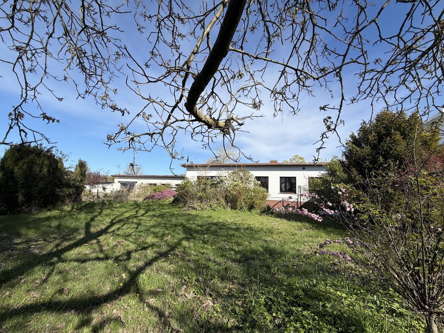 Blick aus dem Garten