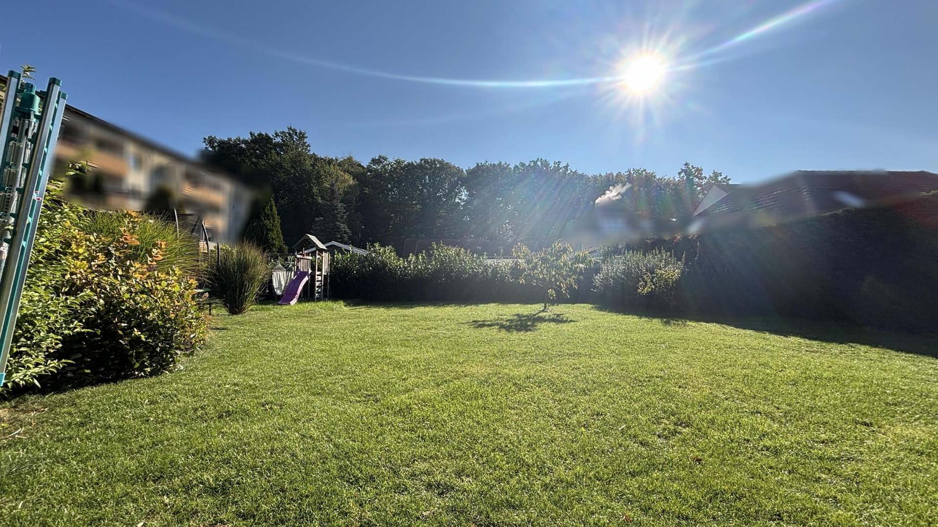 Blick in den Garten