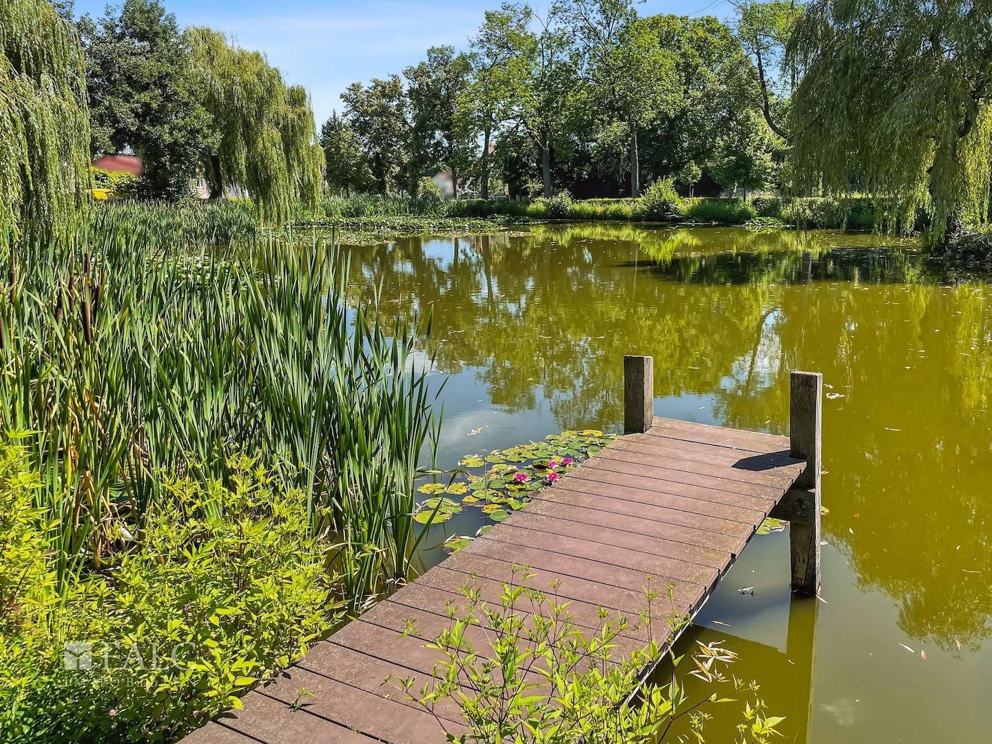 Idyllischer Dorfteich