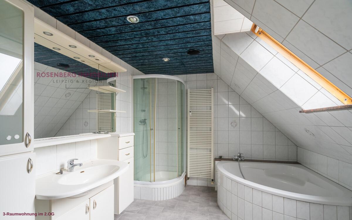 c527cb4c-badezimmer-mehrfamilienhaus-in-muegeln-crellenhain.jpg
