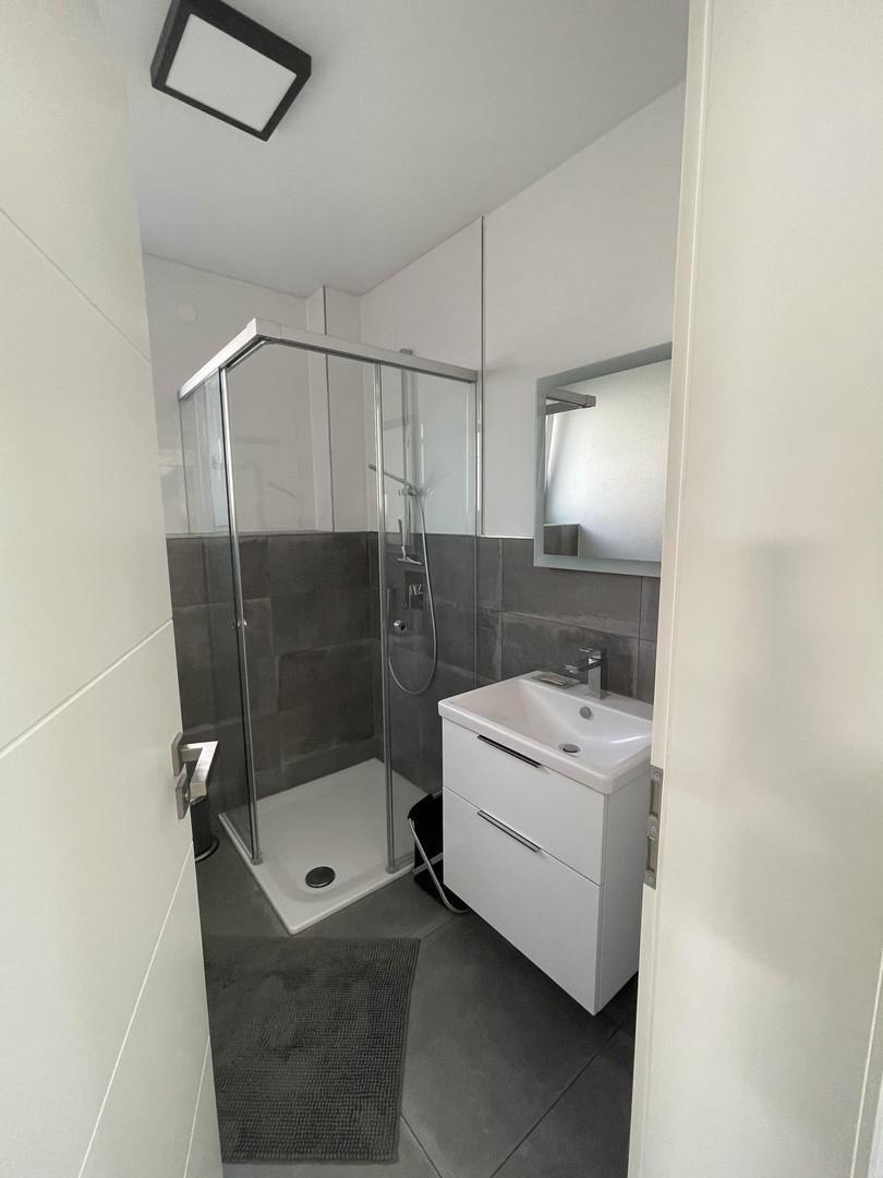 EG - Gäste-WC (mit Dusche)