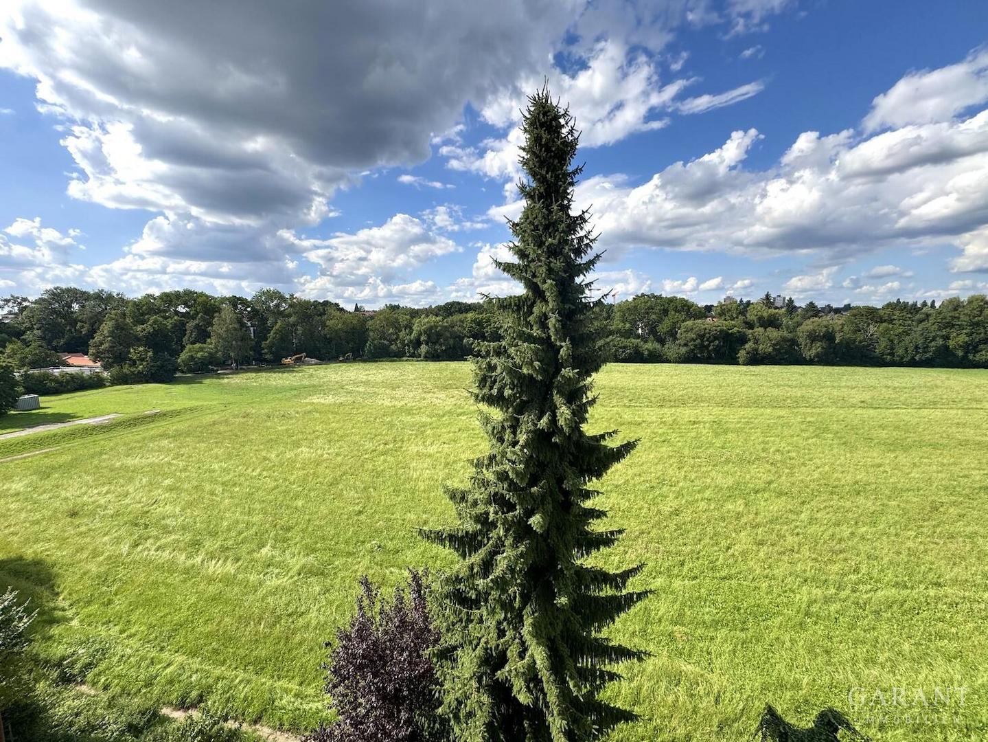 Ausblick / Wohnräume