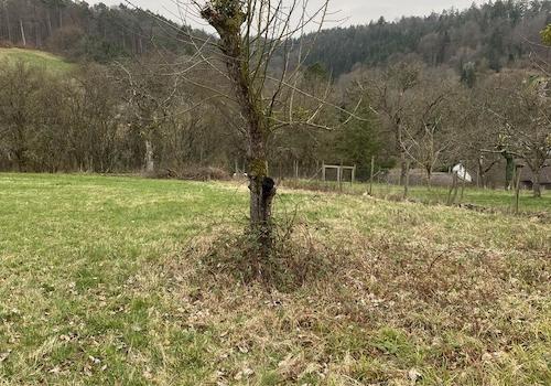 Aussicht