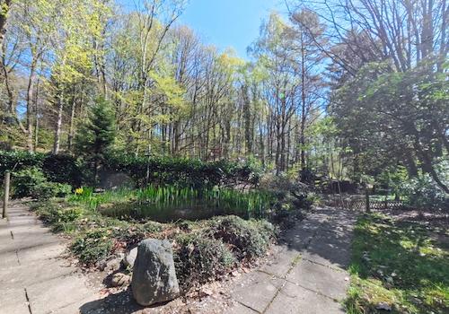 Blick in den Garten