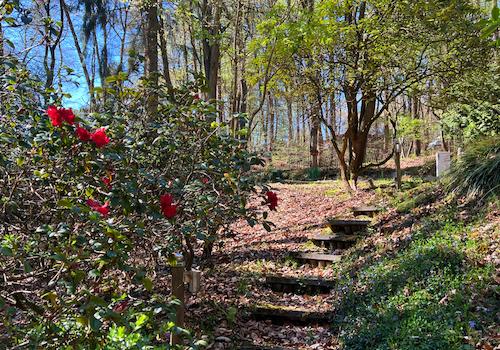Treppe im Garten