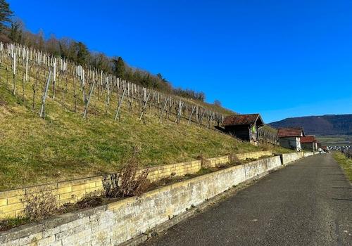 Landschaft