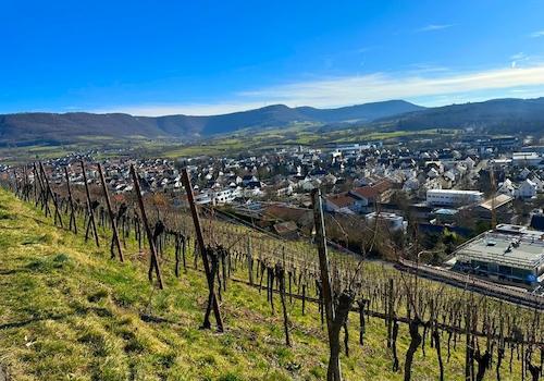 Landschaft