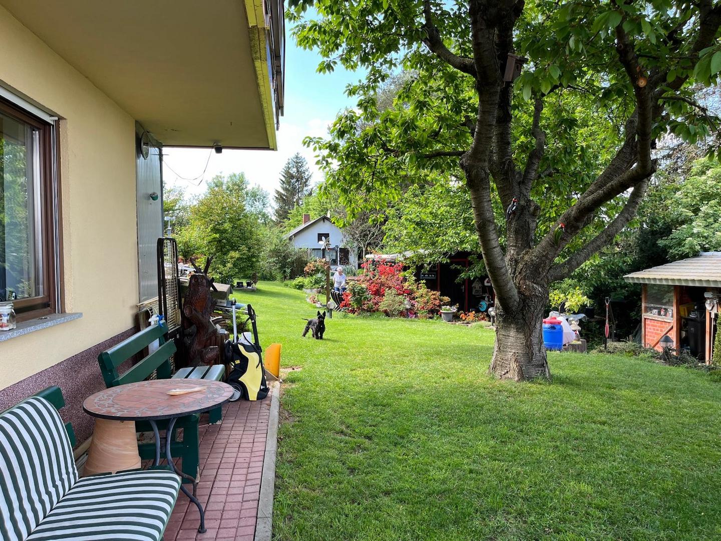 Gartenansicht hinter dem Haus