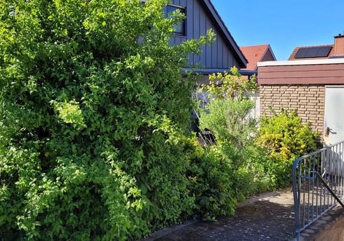 Weg zur Garage und Kellerabgan