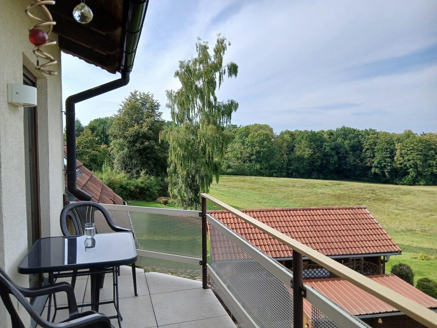 Blick v.Balkon in Garten