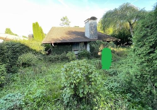 Garten / Westseite