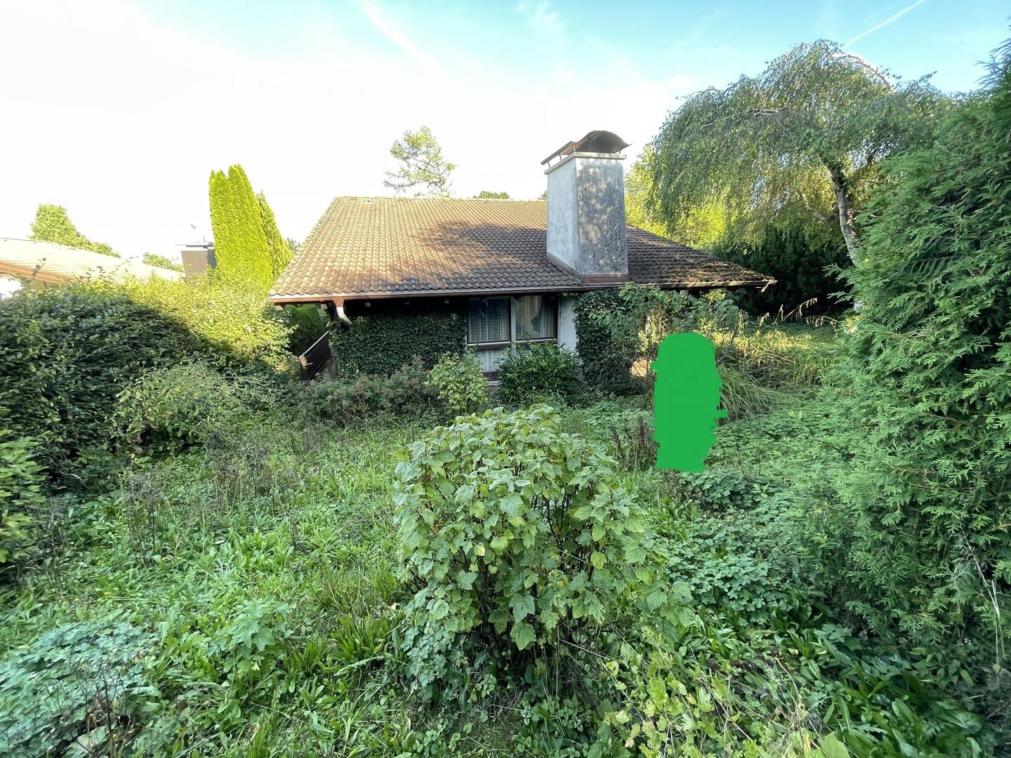 Garten / Westseite