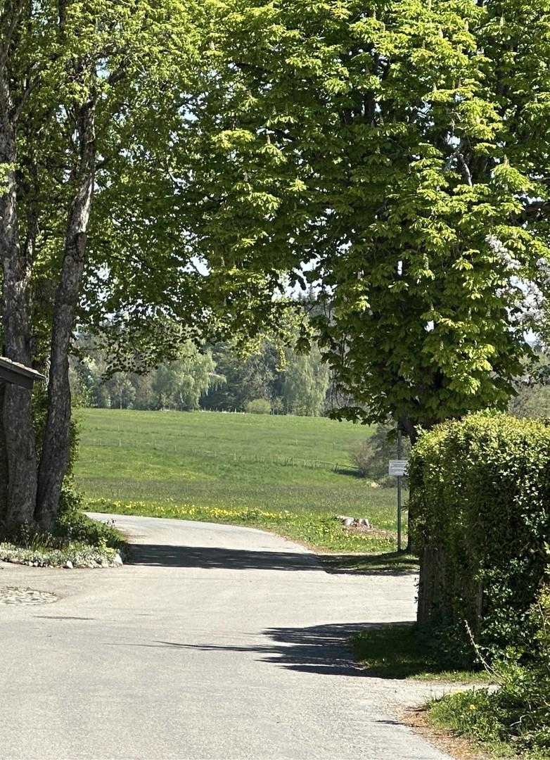 Aussicht v d Grundstücksgrenze