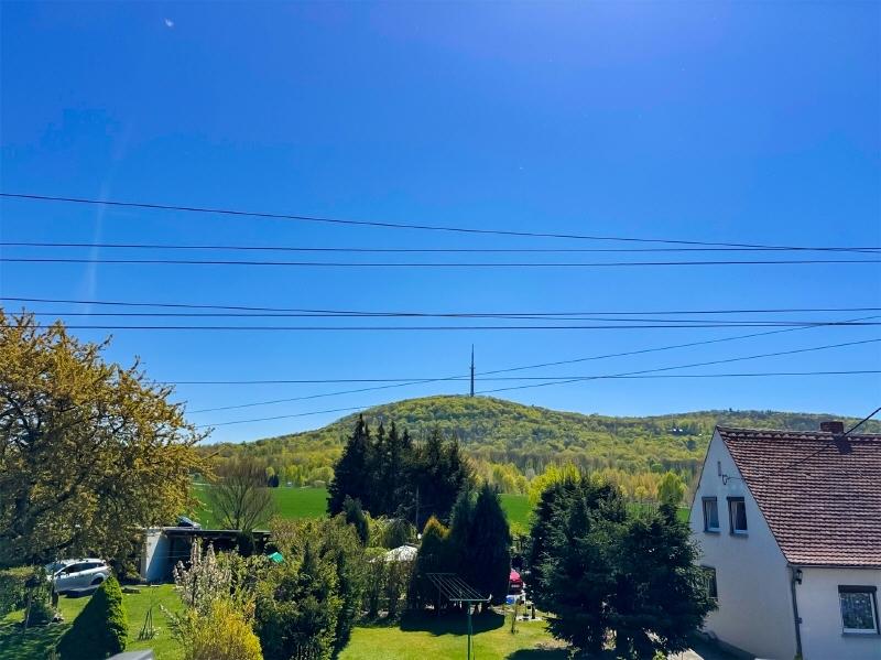 Blick aus dem Dachfenster