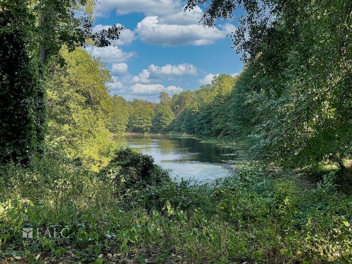Auszeit am Waldsee