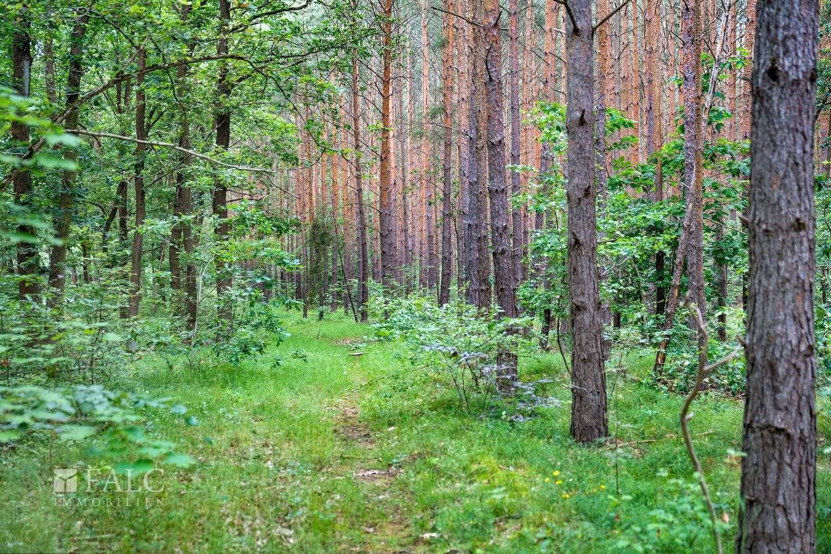 Natur pur