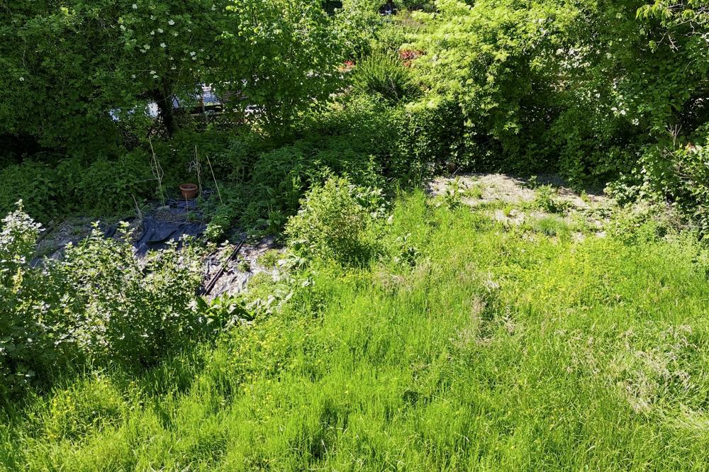 Mögliche Terrasse und Gartenbeet