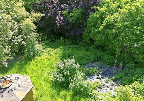Weg vom Gartenbeet zum Bach