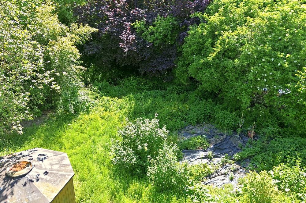 Weg vom Gartenbeet zum Bach