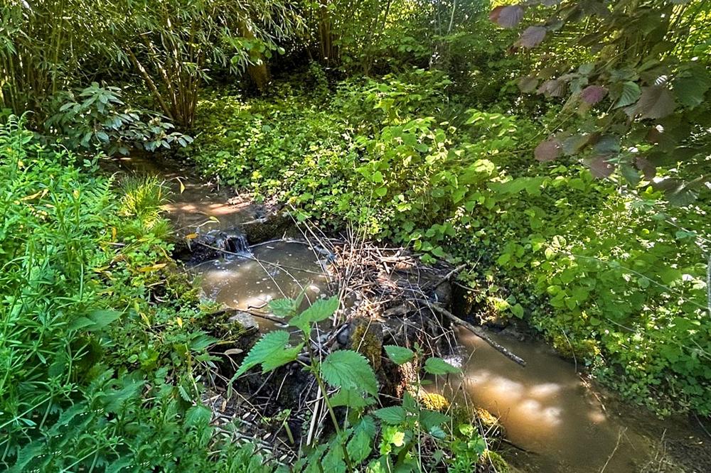 Kleiner Bach der durch den Garten fließt