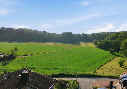 Die Grüne Umgebung direkt neben dem Haus