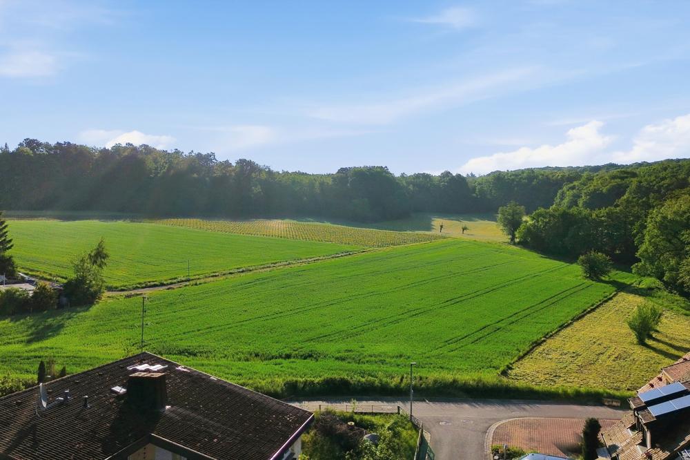 Die Grüne Umgebung direkt neben dem Haus