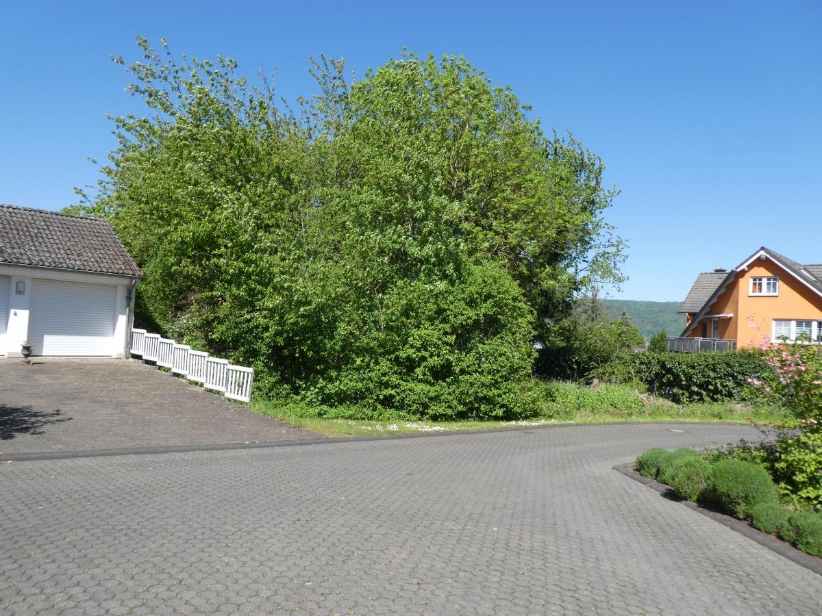 Ansicht 1