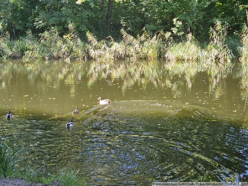 oranienburger Kanal