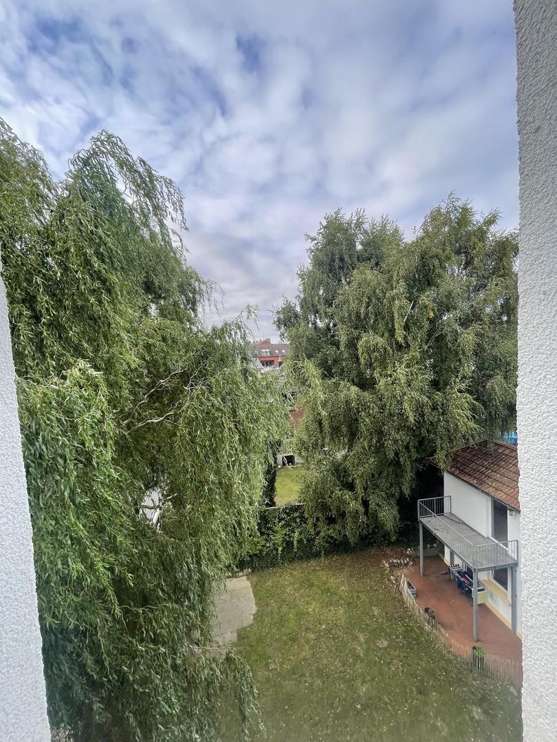 Blick aus dem rückw. Fenster