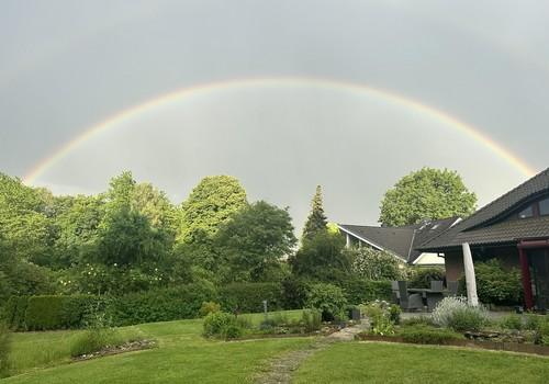 Ansicht Garten