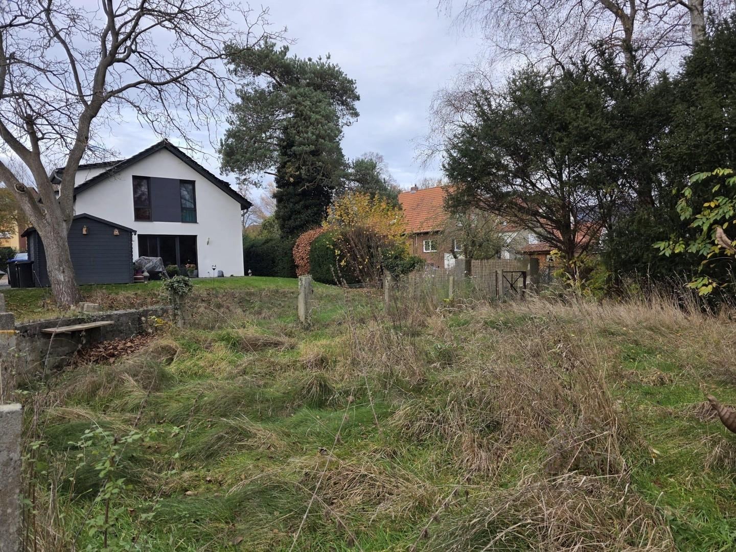 Gesamter Garten