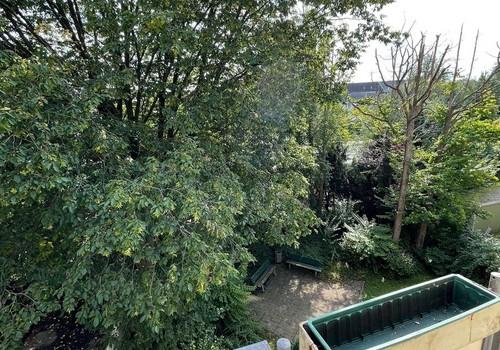 Blick in den Garten