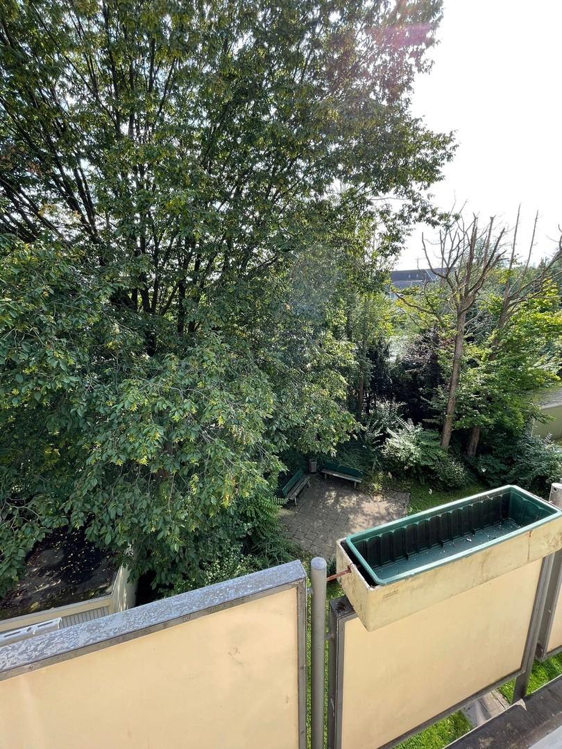 Blick in den Garten