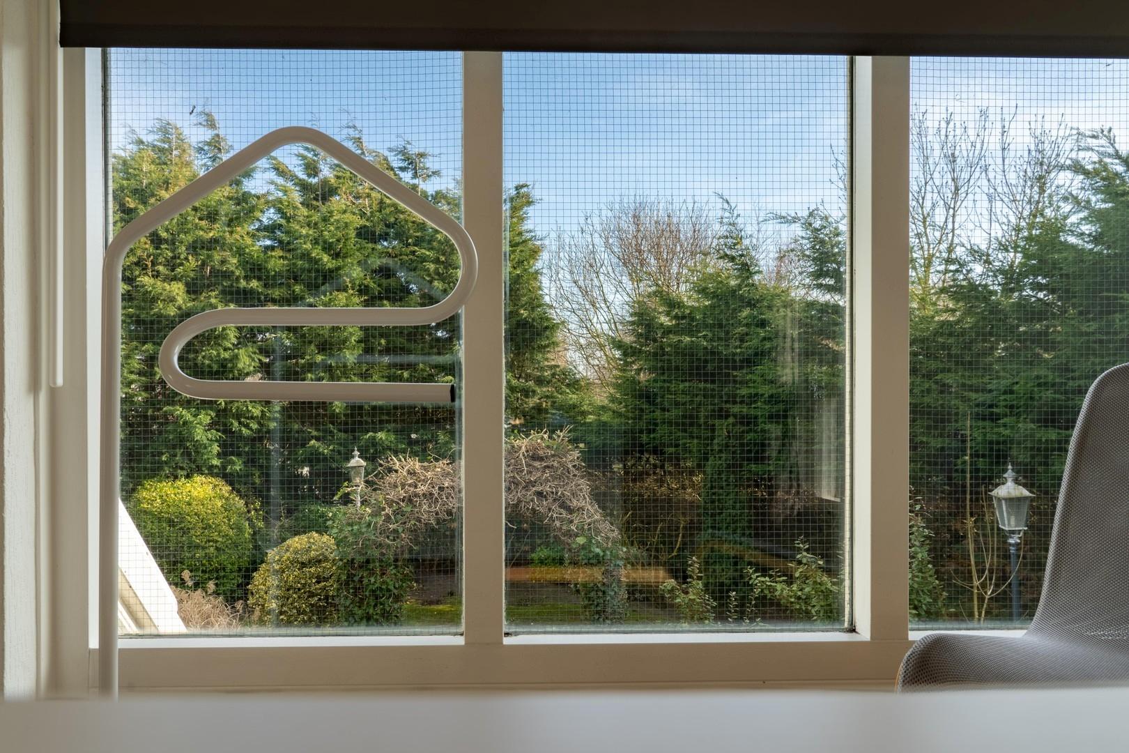 Blick in den Garten
