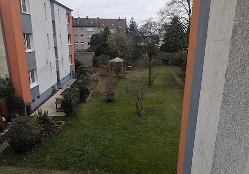 Blick ins Grüne