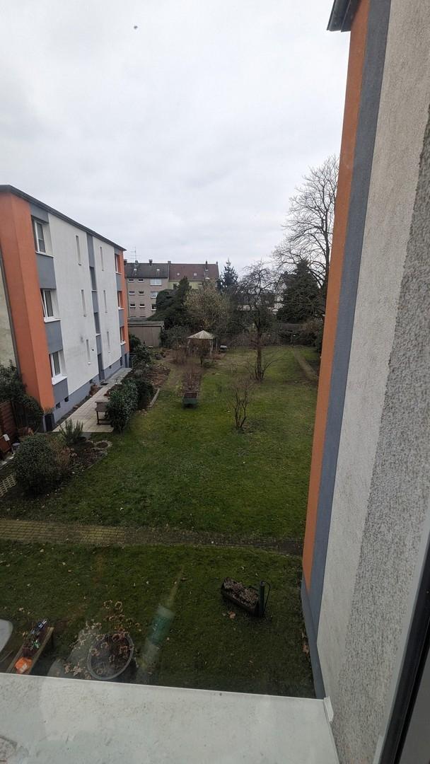 Blick ins Grüne