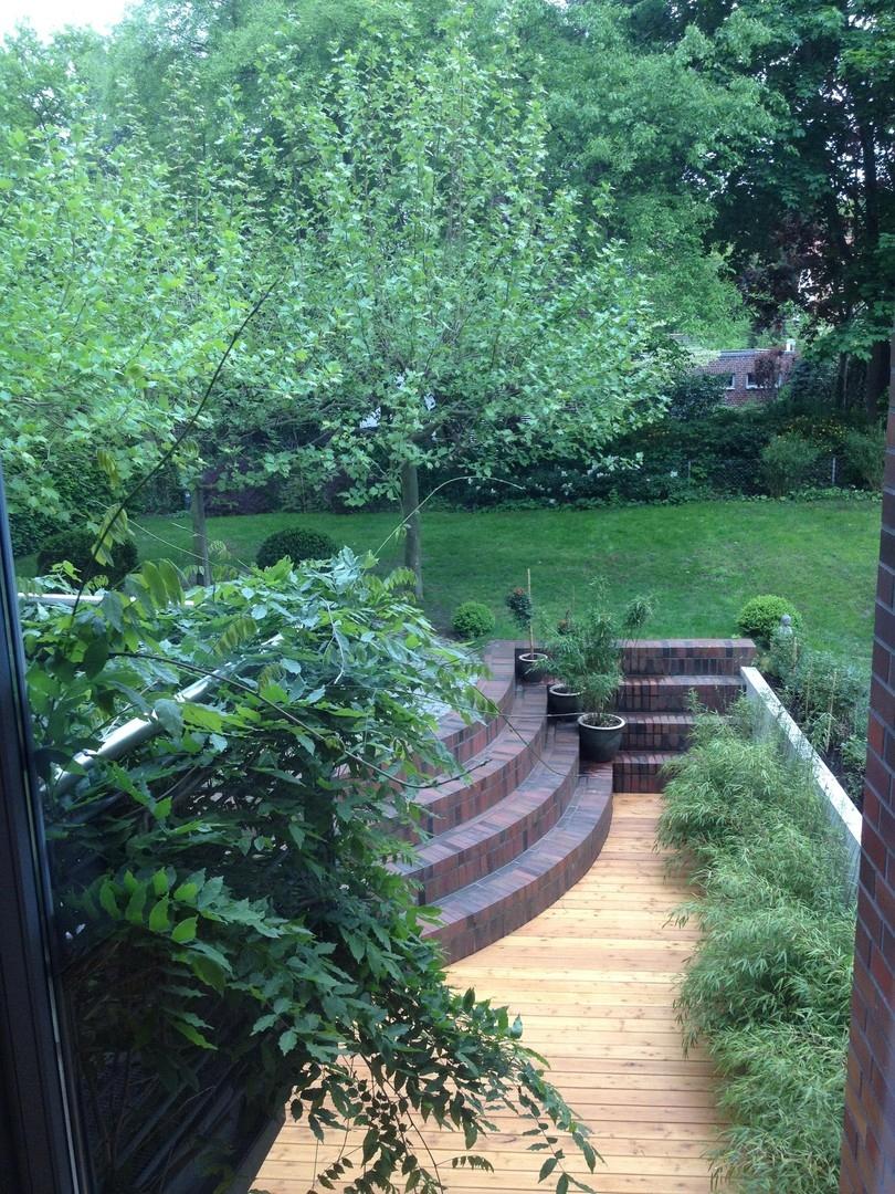 Blick in den Garten